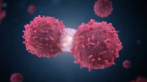 Cáncer y conservadores