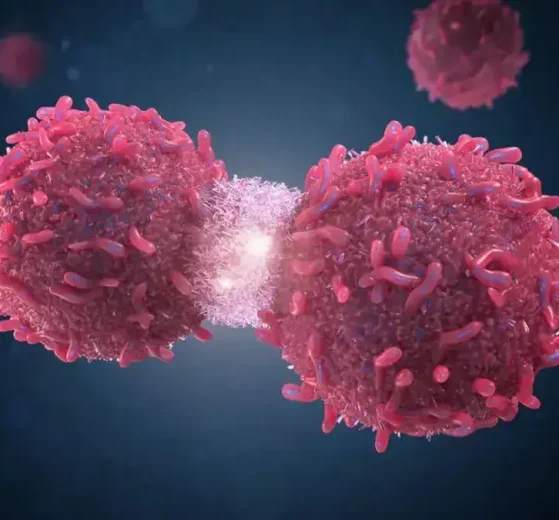 Cáncer y conservadores