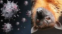 Virus Nipah