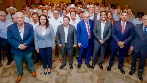 Asegurada intención de compra de cosecha de maíz