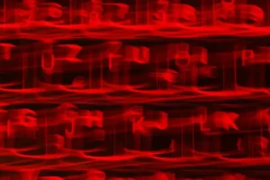 Así alimentamos los algoritmos de Google