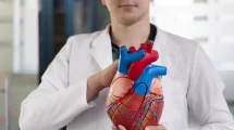 Corazón arterias