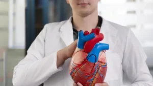 Corazón arterias