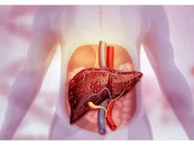 Hígado se recupera de forma natural