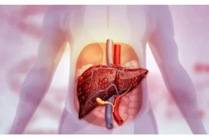 Hígado se recupera de forma natural