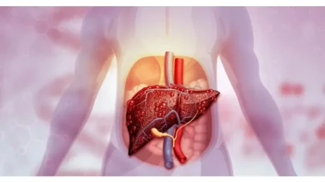 Hígado se recupera de forma natural