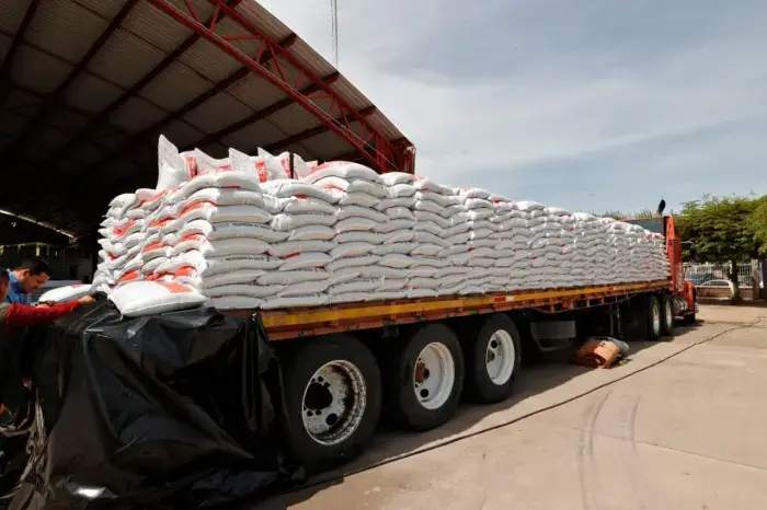 Arranca en Sinaloa el Programa de Fertilizantes para el Bienestar