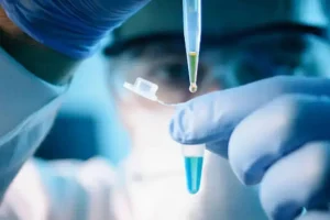 Parche a base de miel para regenerar las heridas