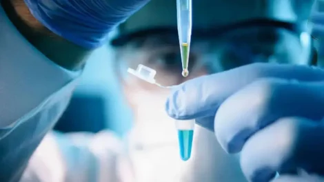 Parche a base de miel para regenerar las heridas