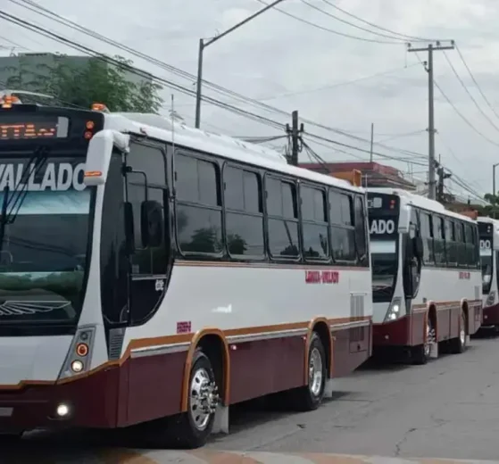 Transporte público Sinaloa