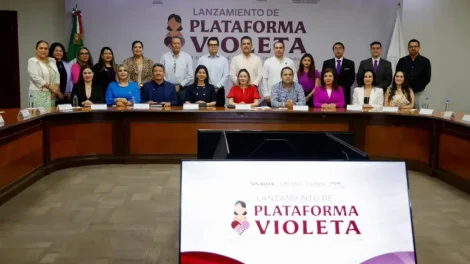 Plataforma Violeta