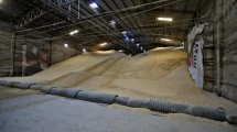 Bodega Maíz