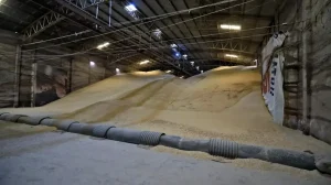 Bodega Maíz