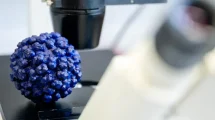 Identificado principio activo contra Hepatitis E