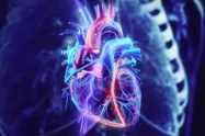 Cáncer en el corazón mecanismo lo hace casi inmune