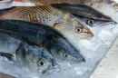 Cómo reconocer que el pescado no está fresco