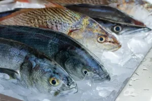 Cómo reconocer que el pescado no está fresco