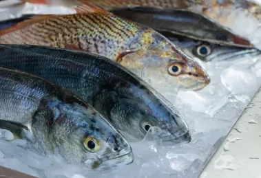 Cómo reconocer que el pescado no está fresco
