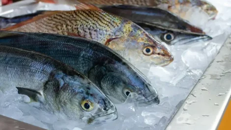 Cómo reconocer que el pescado no está fresco