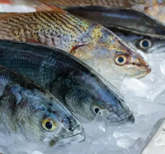 Cómo reconocer que el pescado no está fresco