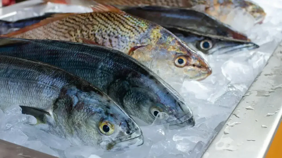 Cómo reconocer que el pescado no está fresco