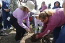 Gobernadora pone en marcha en Sinaloa la Jornada Nacional de Reforestación
