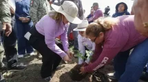 Gobernadora pone en marcha en Sinaloa la Jornada Nacional de Reforestación