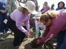 Gobernadora pone en marcha en Sinaloa la Jornada Nacional de Reforestación