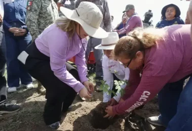 Gobernadora pone en marcha en Sinaloa la Jornada Nacional de Reforestación