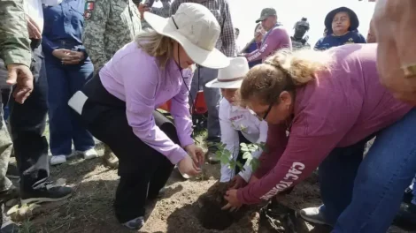 Gobernadora pone en marcha en Sinaloa la Jornada Nacional de Reforestación