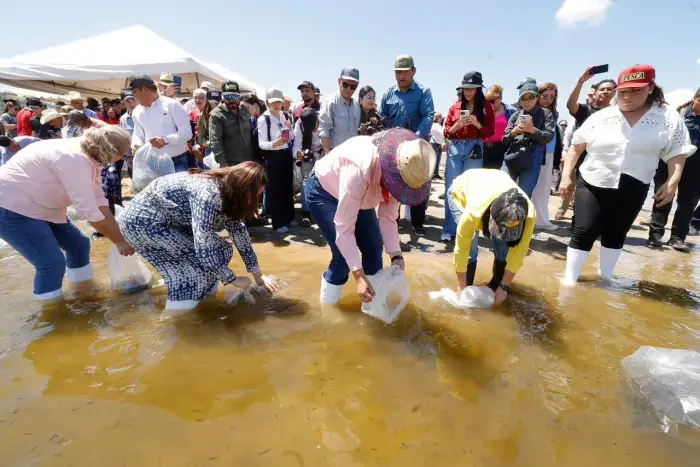Repoblamiento de alevines en embalses y presas