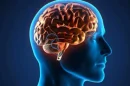 Cerebro Saludable