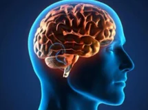 Cerebro Saludable