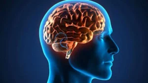 Cerebro Saludable