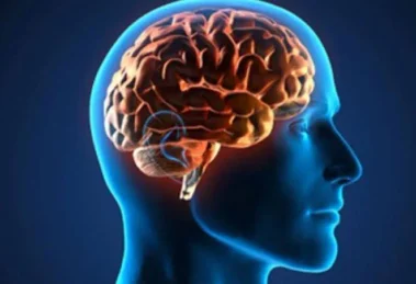 Cerebro Saludable