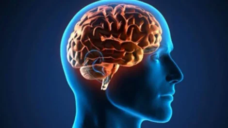 Cerebro Saludable