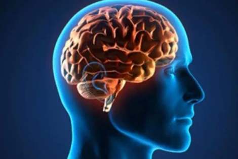 Cerebro Saludable