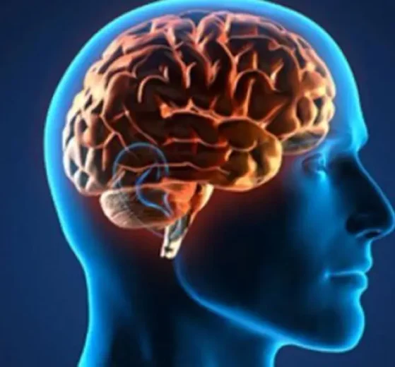 Cerebro Saludable